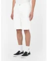 Dickies - Duck Canvas Chap Short - Stone Washed Cloud | blockshops