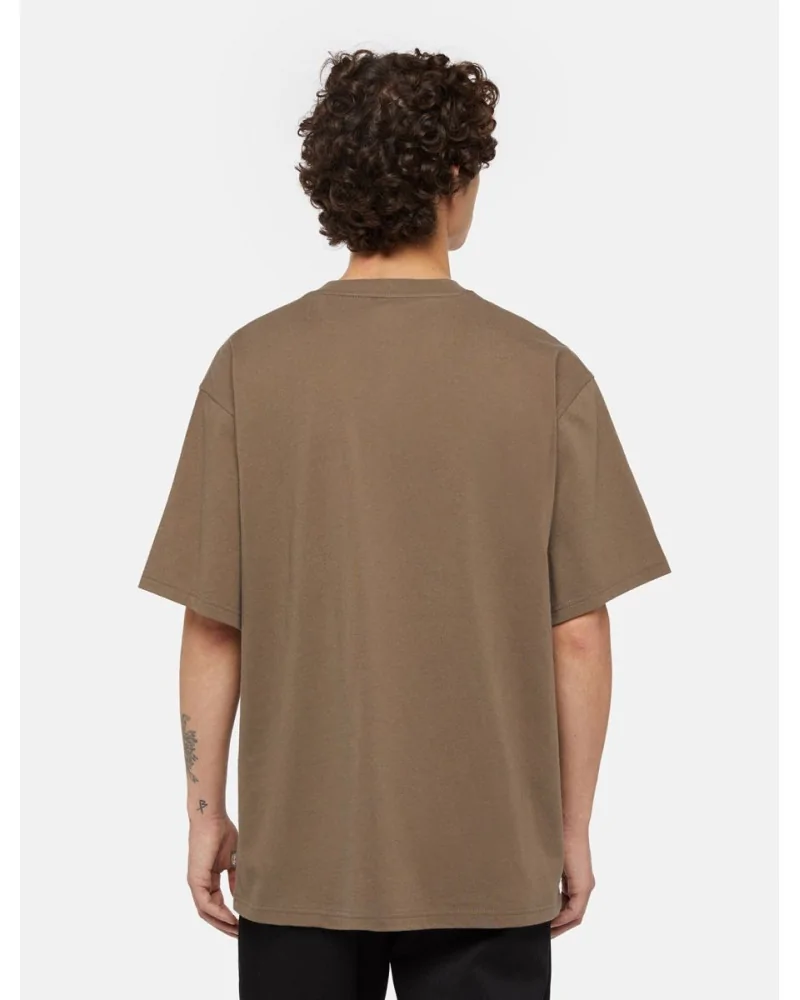 Dickies Life - Clancy Heavyweight Tee - Brown | blockshops