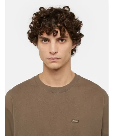 Dickies Life - Clancy Heavyweight Tee - Brown | blockshops