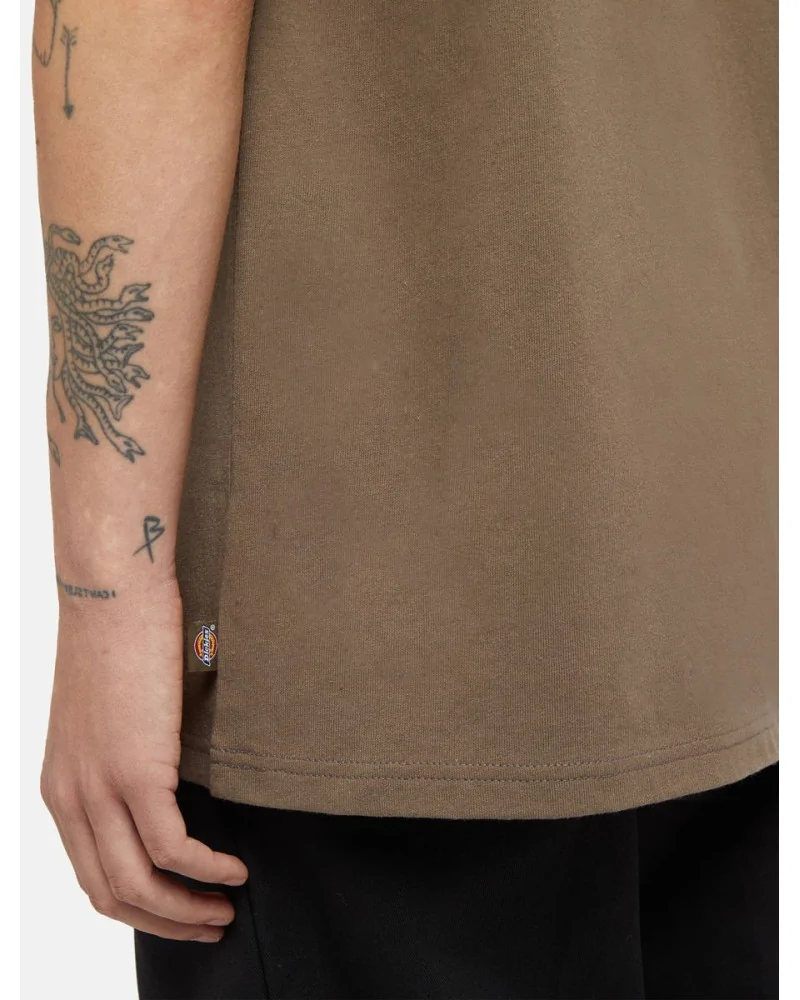 Dickies Life - Clancy Heavyweight Tee - Brown | blockshops