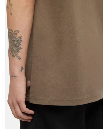 Dickies Life - Clancy Heavyweight Tee - Brown | blockshops