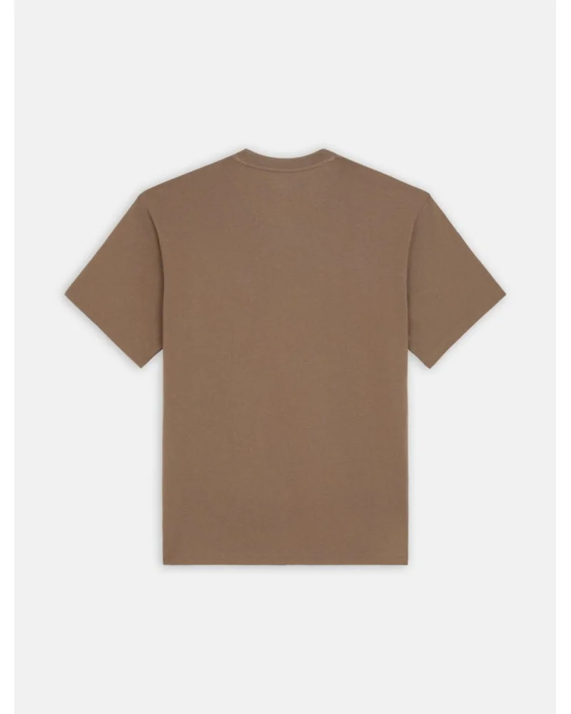Dickies Life - Clancy Heavyweight Tee - Brown | blockshops