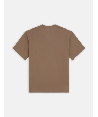 Dickies Life - Clancy Heavyweight Tee - Brown | blockshops