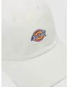 Dickies - Hardwick Curved Cap - Cloud