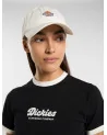 Dickies - Hardwick Curved Cap - Cloud