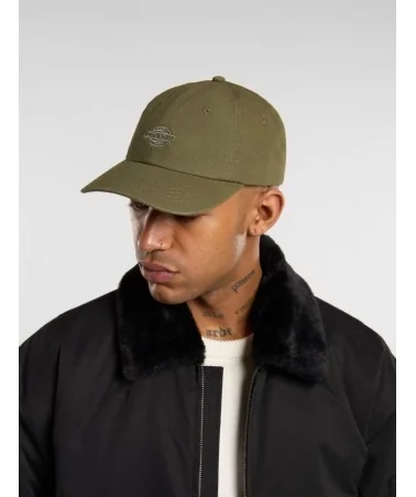 Dickies - Hardwick Curved Cap - Black | blockshops