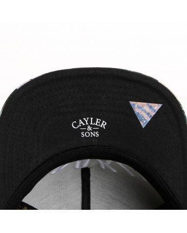 Cayler And Sons WL - Hello Brooklyn Snapback Cap - Black / Mc / White