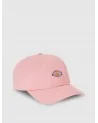 Dickies - Hardwick Curved Cap - Bridal Rose