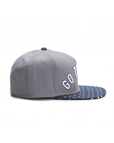 Cayler&Sons WL - Go To Hell Cap - Grey/Navy/White