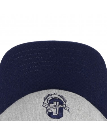 Cayler And Sons WL - WL Frat Boy Curved Cap - Grey