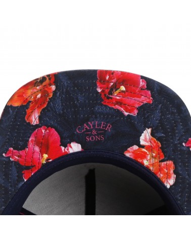 Cayler And Sons WL - WL AMSTERDAM Cap - Navy 