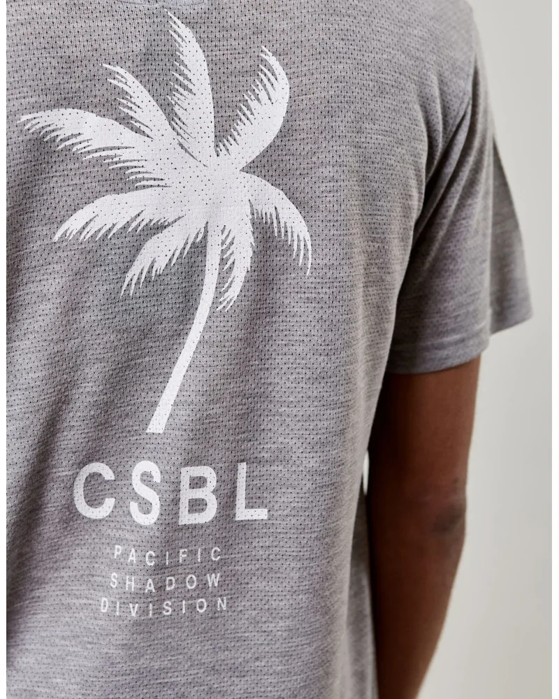 Cayler & Sons CSBL - CSBL Wavey Long Tee - Grey | blockshops