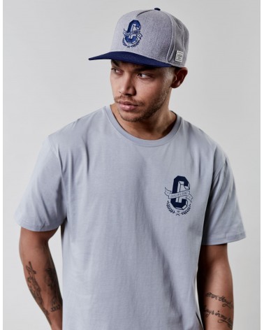 Cayler & Sons WL - WL Frat Boy Tee - Grey