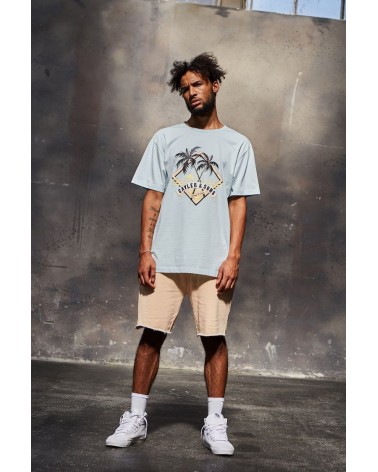 Cayler & Sons - WL Vibin' Tee - Light Blue/Peach