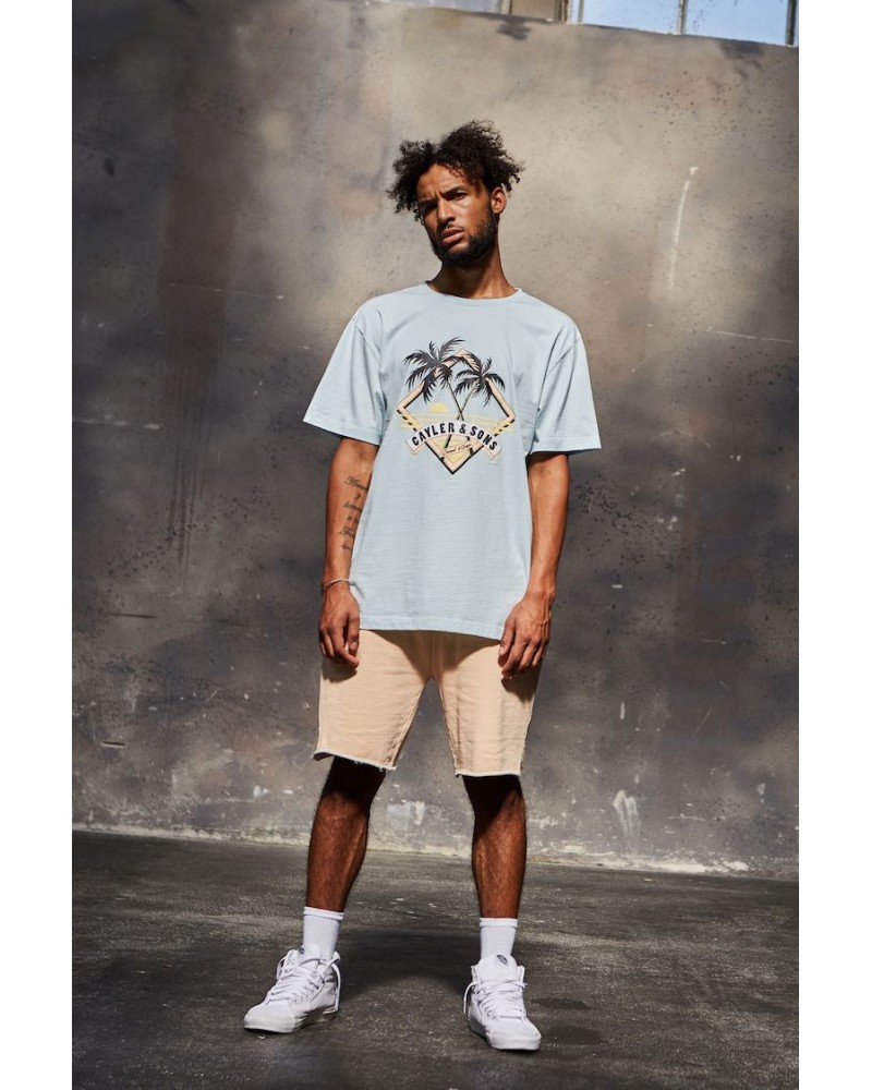 Cayler & Sons - WL Vibin' Tee - Light Blue/Peach