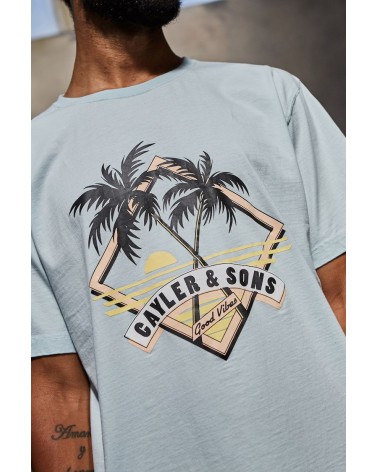 Cayler & Sons - WL Vibin' Tee - Light Blue/Peach