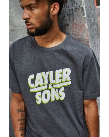 Cayler & Sons - WL Mr Kahle Tee - Charcoal/White