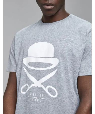 Cayler & Sons - PA Icon Tee - Heather Grey/White