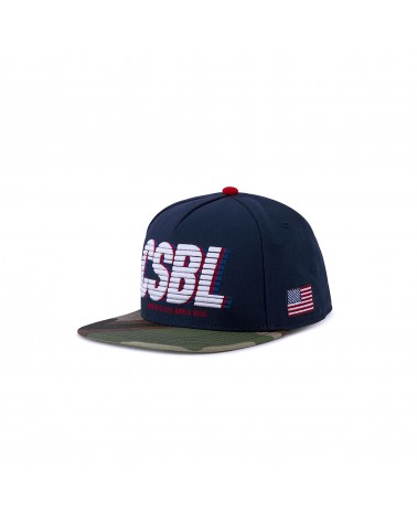 Cayler & Sons - CSBL WCWW Cap - Navy/Woodland Camo