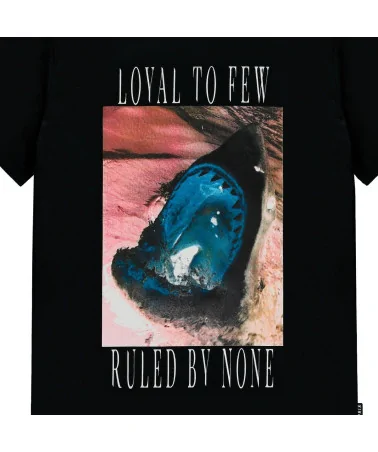 King Apparel -  Earlham Techwear  Shark Tee - Black