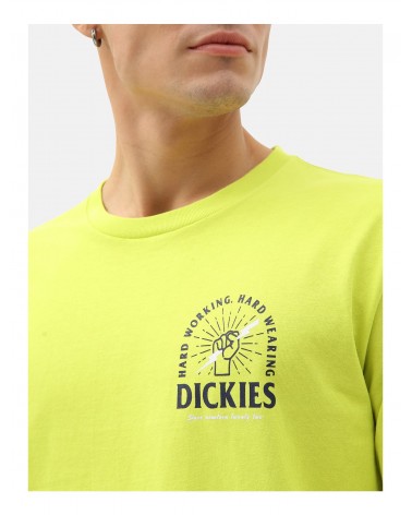 Dickies Life - Baldwin Long Sleeve T-Shirt - Fluor 