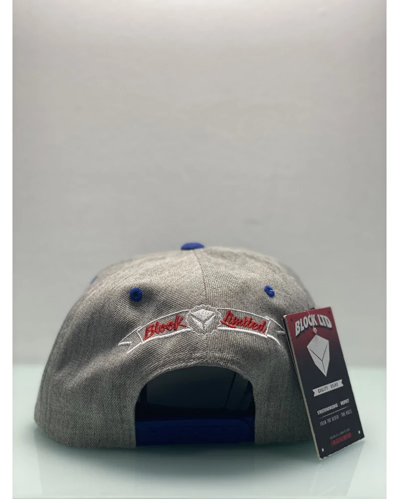 Block Limited - Fuck Fake Friends Snapback - Grey / Blue