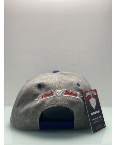 Block Limited - Fuck Fake Friends Snapback - Grey / Blue