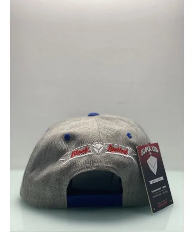 Block Limited - Fuck Fake Friends Snapback - Grey / Blue