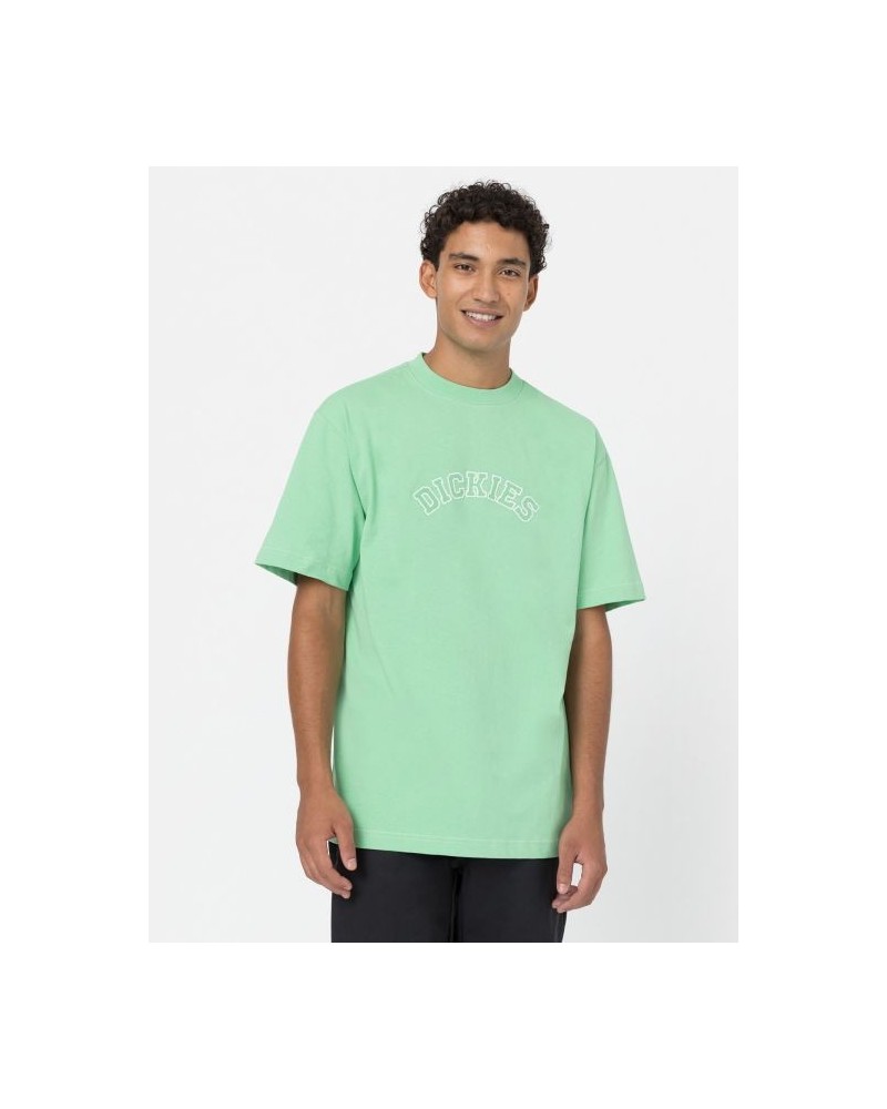 Dickies Life - West Vale Tee - Green