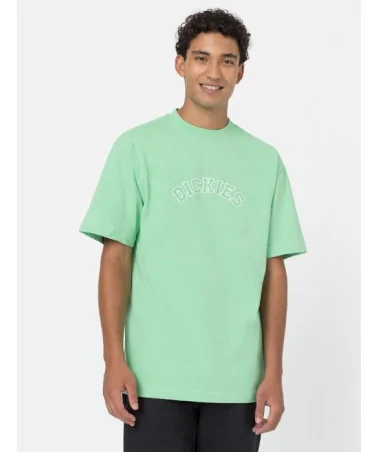 Dickies Life - West Vale Tee - Green
