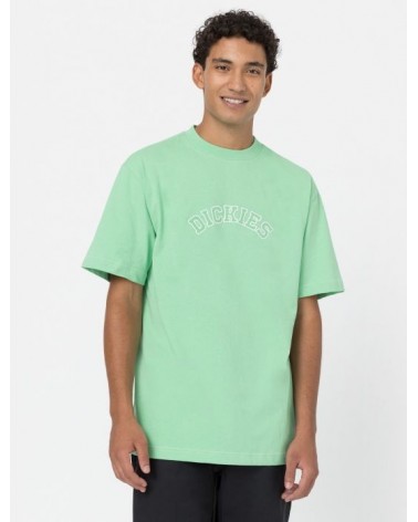 Dickies Life - West Vale Tee - Green