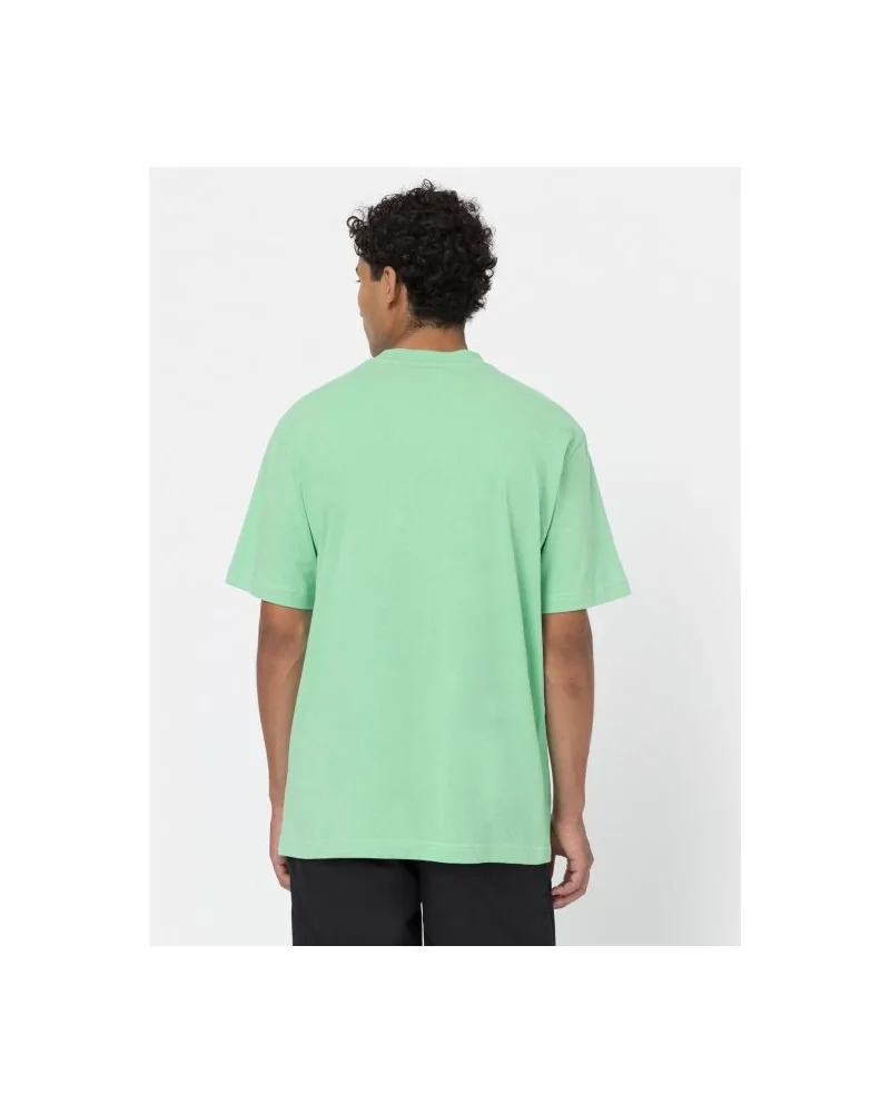 Dickies Life - West Vale Tee - Green