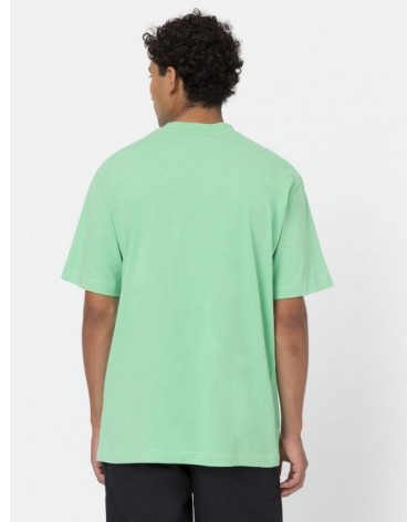 Dickies Life - West Vale Tee - Green