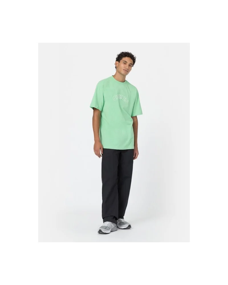 Dickies Life - West Vale Tee - Green