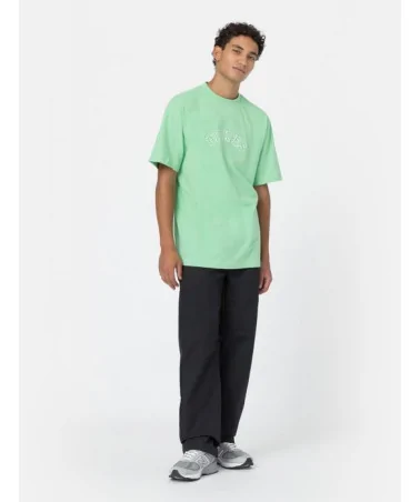 Dickies Life - West Vale Tee - Green