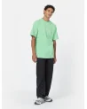 Dickies Life - West Vale Tee - Green