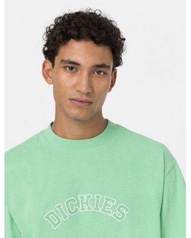 Dickies Life - West Vale Tee - Green