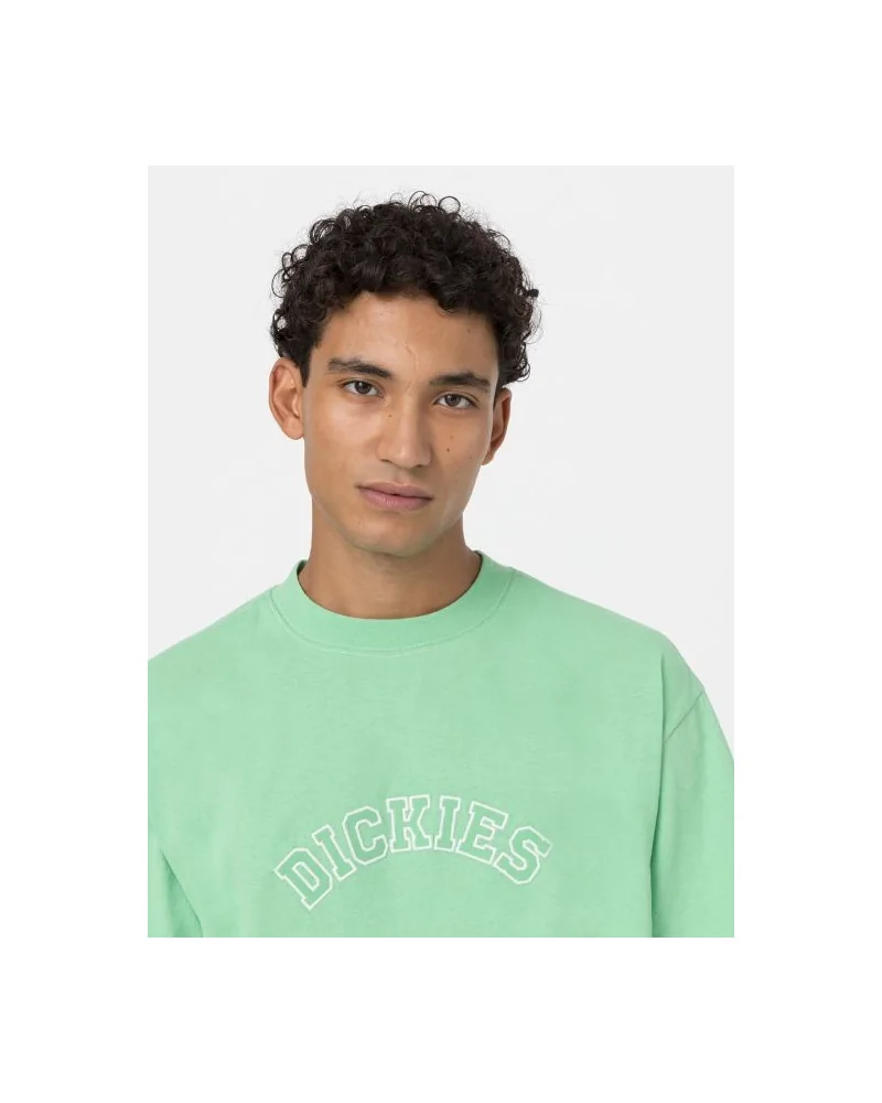 Dickies Life - West Vale Tee - Green
