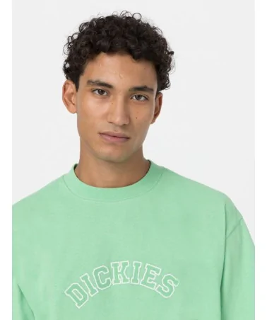 Dickies Life - West Vale Tee - Green