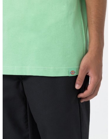 Dickies Life - West Vale Tee - Green