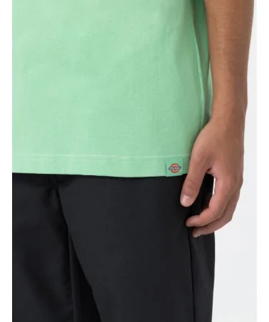 Dickies Life - West Vale Tee - Green