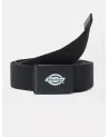 Dickies Life - Orcutt Logo Buckle Belt - Black