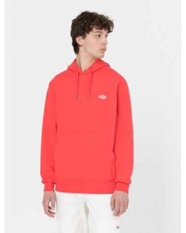 Dickies Life - Summerdal Hoodie - Red