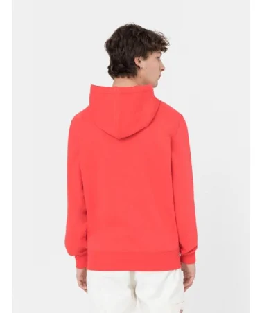 Dickies Life - Summerdal Hoodie - Red