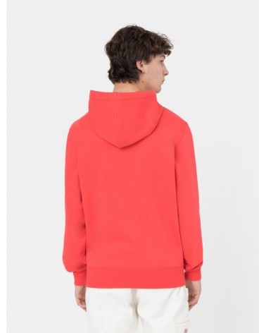 Dickies Life - Summerdal Hoodie - Red