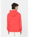 Dickies Life - Summerdal Hoodie - Red