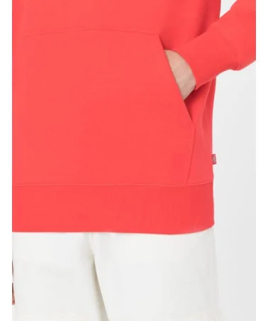 Dickies Life - Summerdal Hoodie - Red