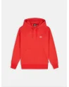 Dickies Life - Summerdal Hoodie - Red