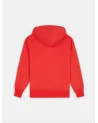 Dickies Life - Summerdal Hoodie - Red