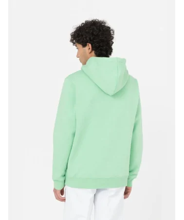 Dickies Life - Oakport Hoody - Apple Mint